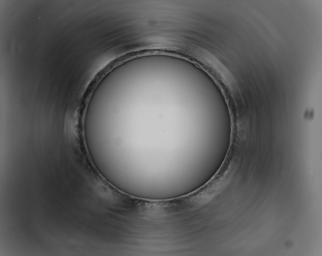 X0000103260875200809051441