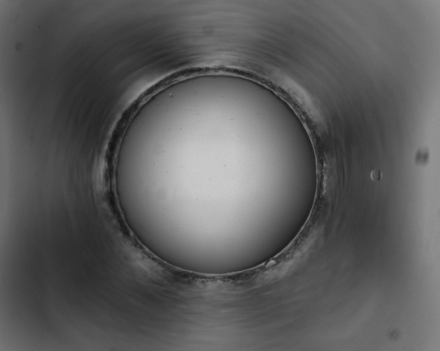 X0000103260876200809051441