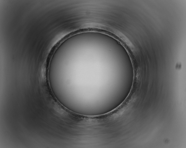 X0000103260877200809051441