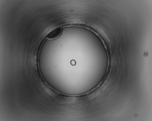 X0000103260881200809051441