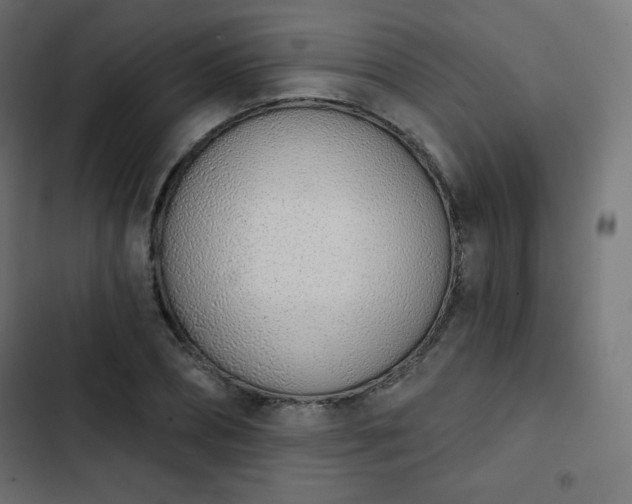 X0000103260882200809051441