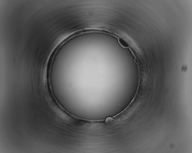 X0000103260884200809051441