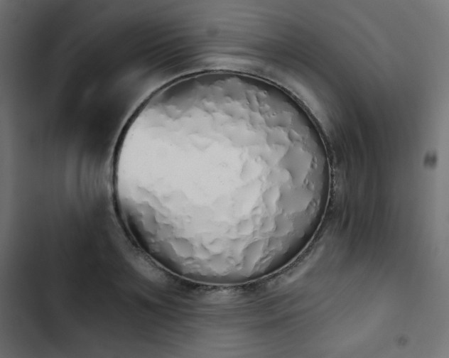 X0000103260891200809051441