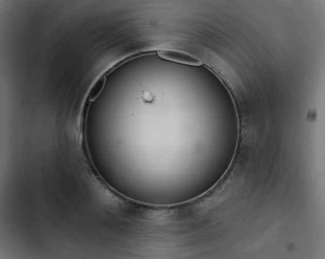 X0000103260892200809051441