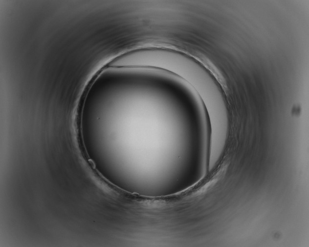 X0000103260893200809051440