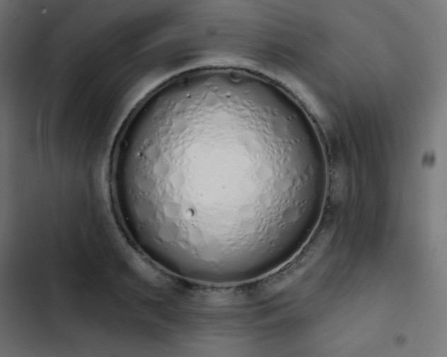 X0000103260895200809051440