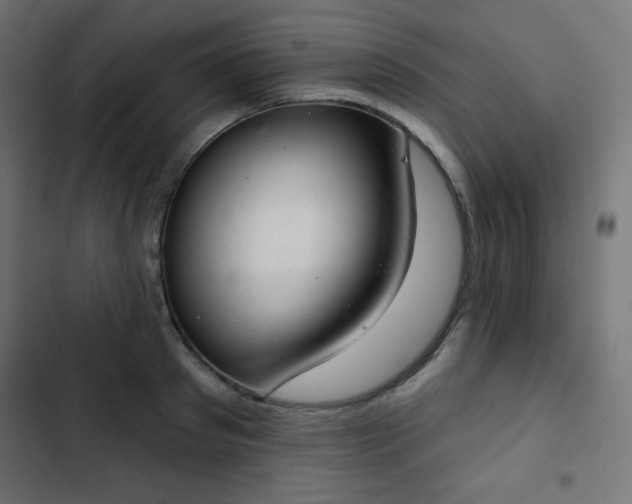 X0000103260897200809051440