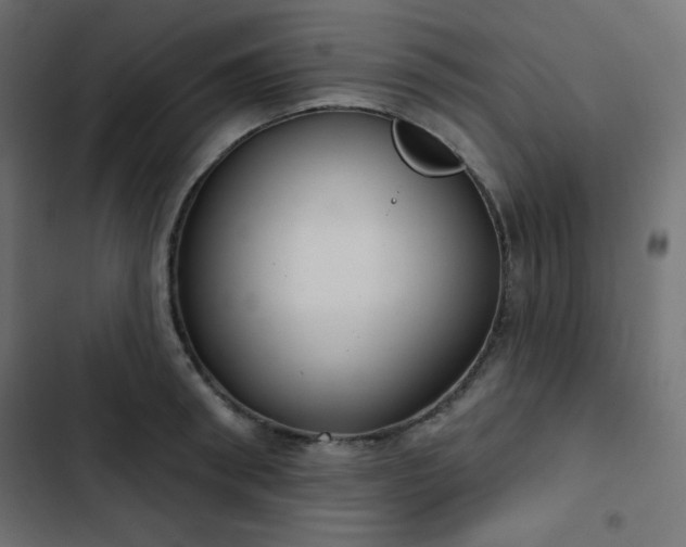 X0000103260898200809051440