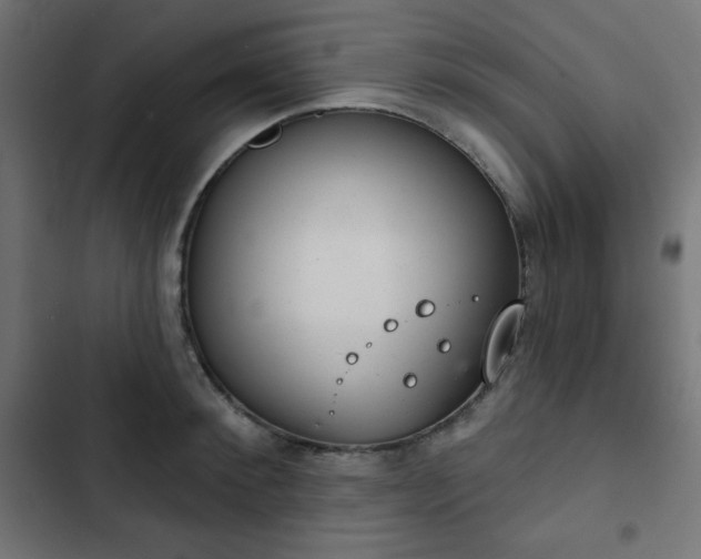 X0000103260900200809051440