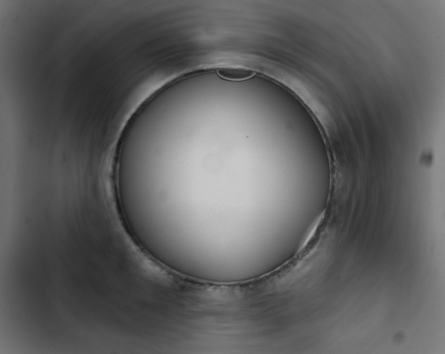 X0000103260901200809051440