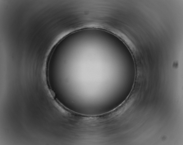 X0000103260902200809051440