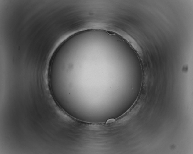 X0000103260904200809051440