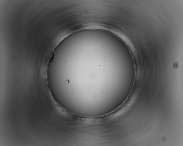 X0000103260905200809051440