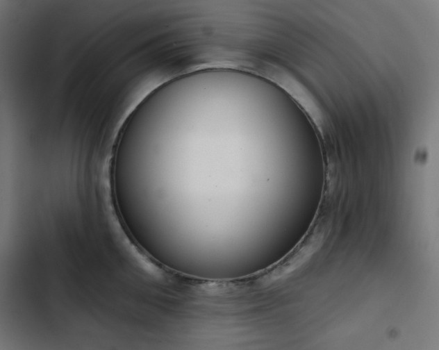 X0000103260906200809051440