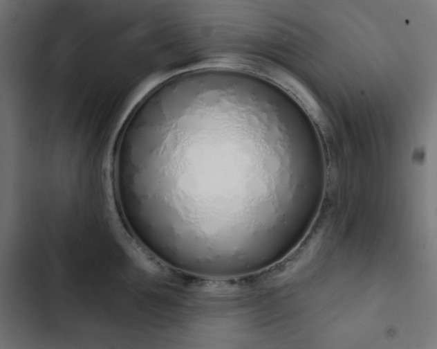 X0000103260907200809051440