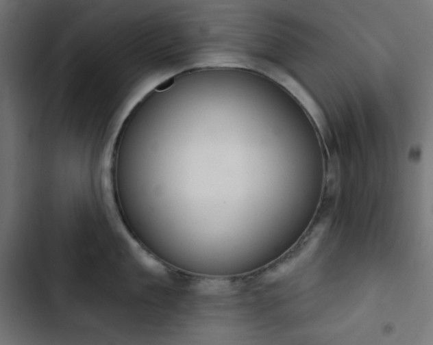 X0000103260909200809051440