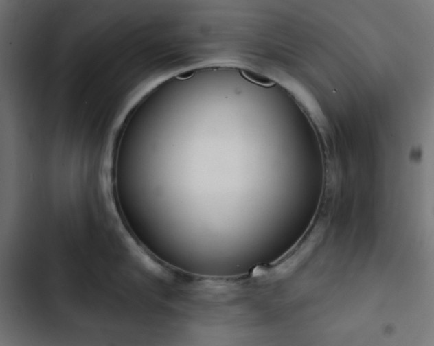 X0000103260910200809051440