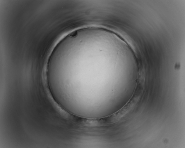 X0000103260911200809051440