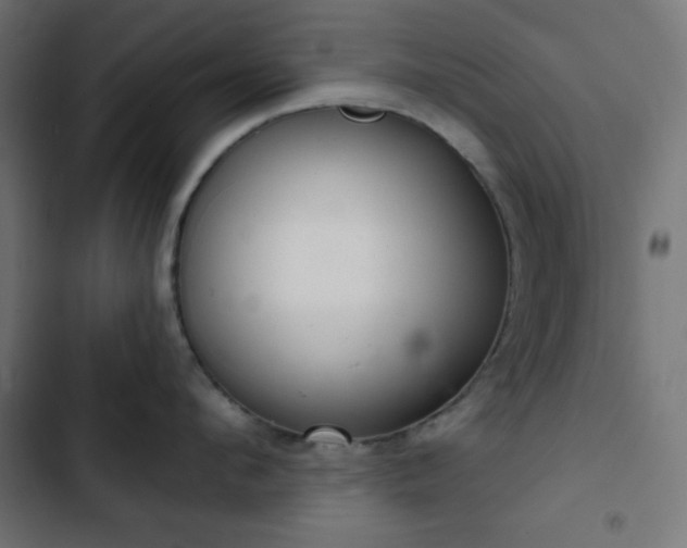 X0000103260912200809051440