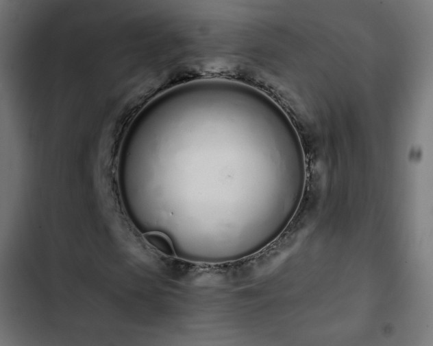 X0000103260913200809051439