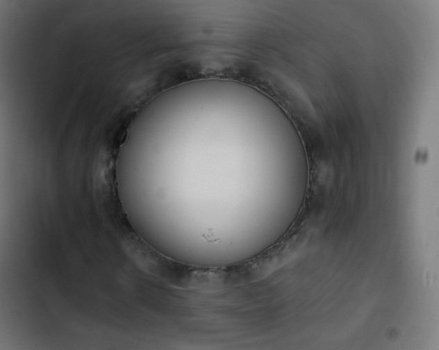 X0000103260914200809051439