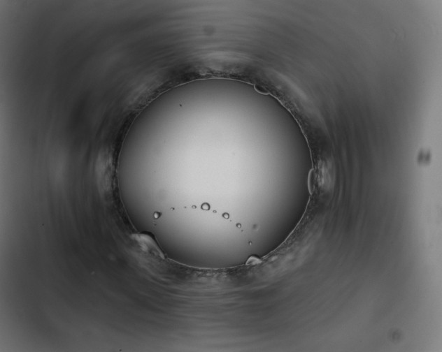 X0000103260915200809051439