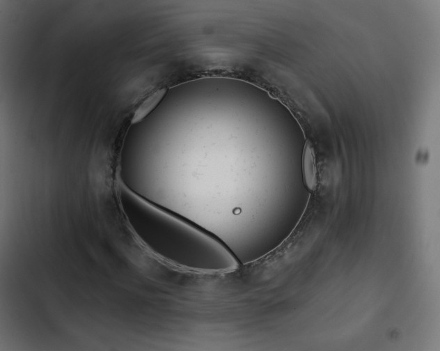 X0000103260916200809051439