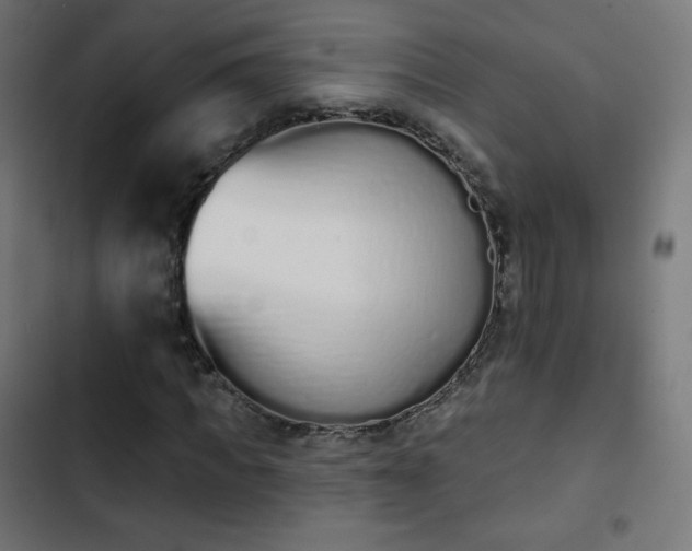 X0000103260917200809051440