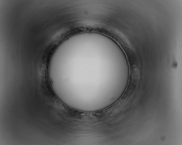 X0000103260918200809051440