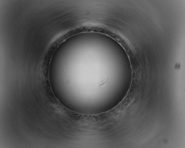 X0000103260919200809051440