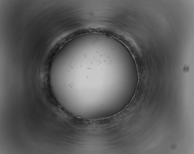 X0000103260920200809051440