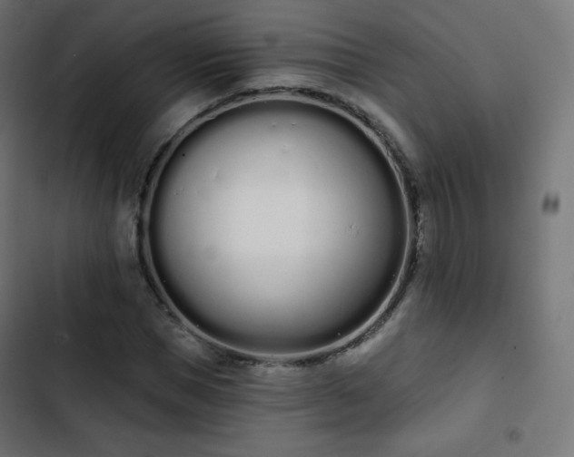 X0000103260921200809051440