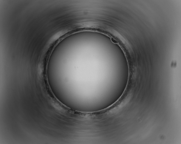 X0000103260922200809051440