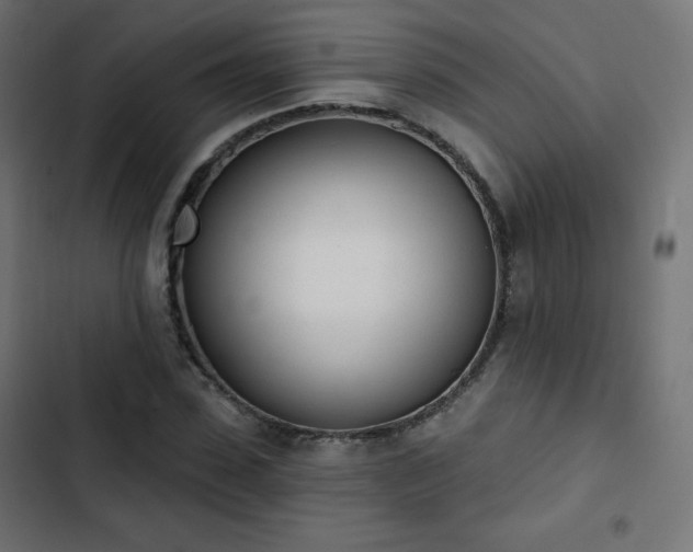 X0000103260923200809051440