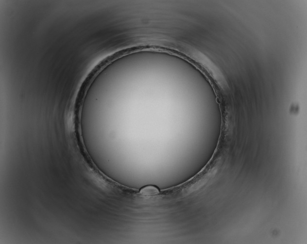 X0000103260924200809051440