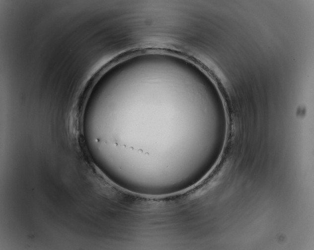 X0000103260925200809051440