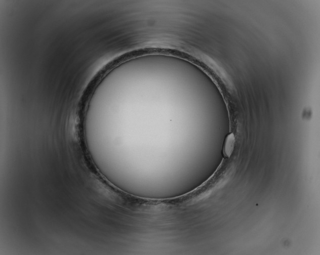 X0000103260926200809051440