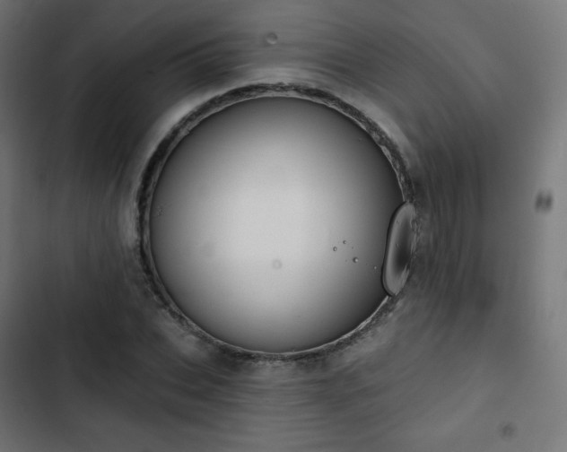 X0000103260927200809051440