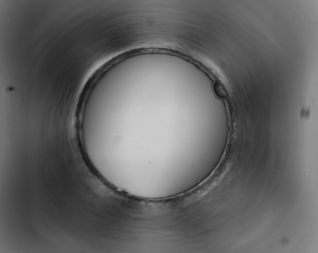 X0000103260928200809051440