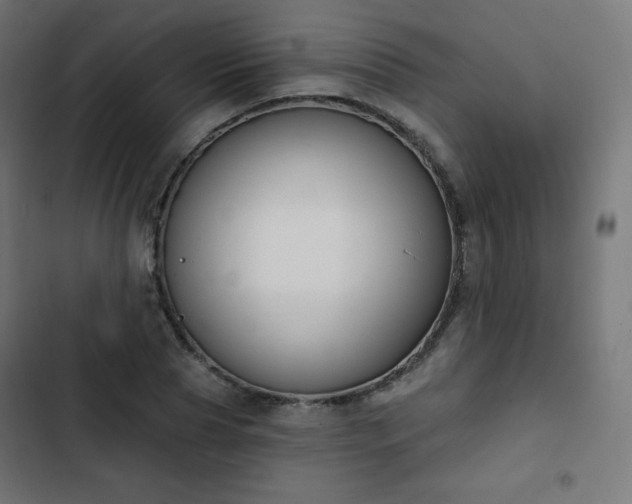 X0000103260929200809051440