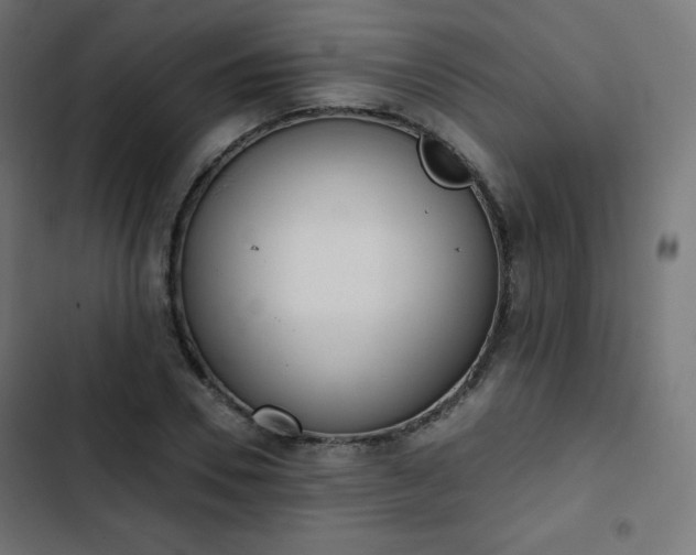 X0000103260930200809051440