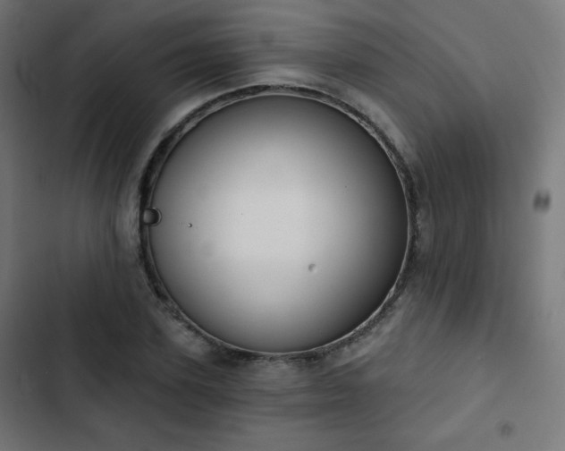 X0000103260931200809051440