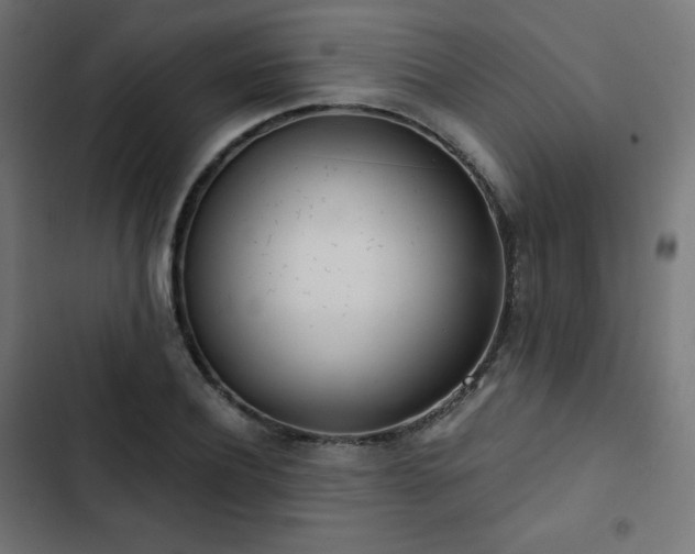 X0000103260932200809051440