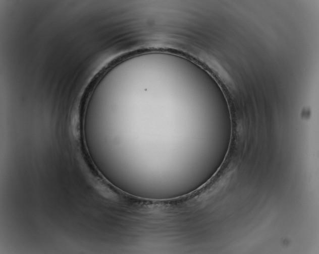 X0000103260934200809051440