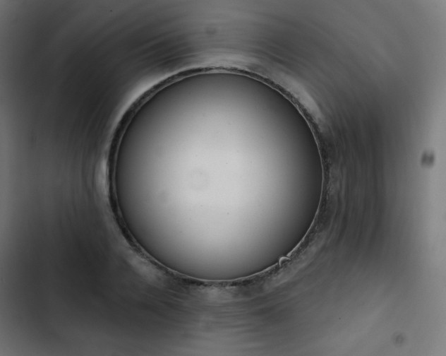 X0000103260936200809051440