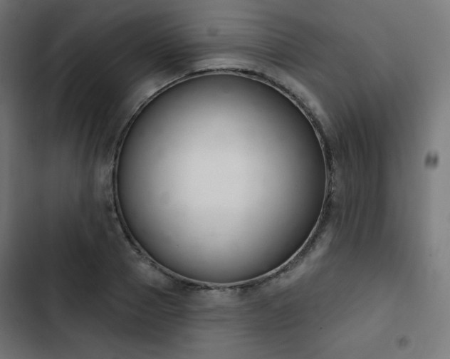 X0000103260937200809051440