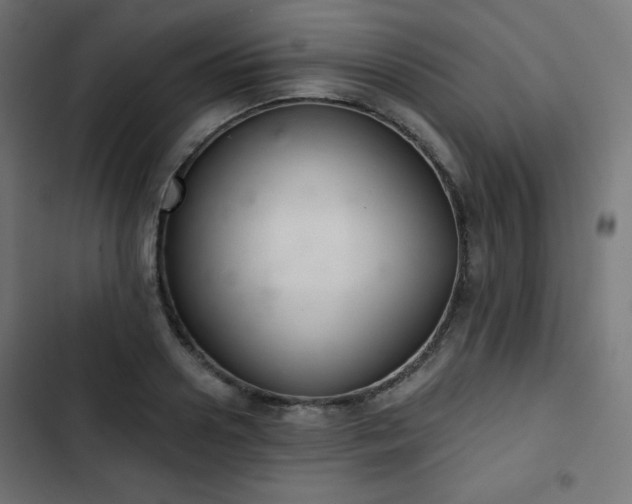 X0000103260938200809051440