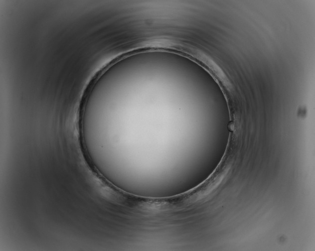 X0000103260939200809051440