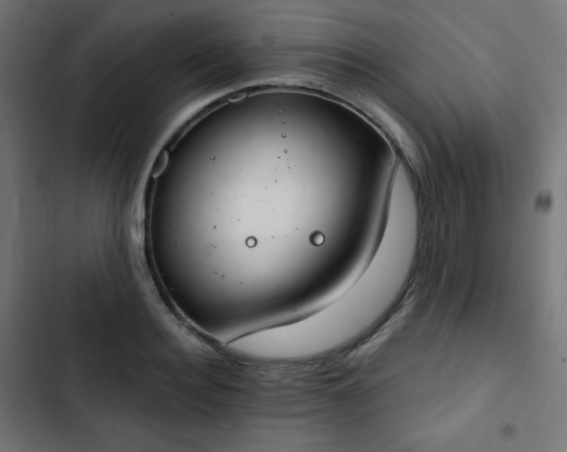 X0000103260940200809051440