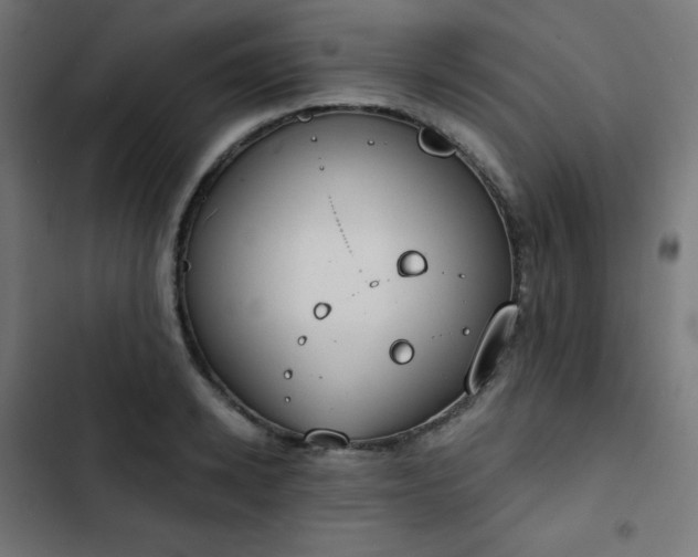 X0000103260942200809051440